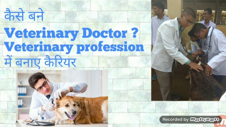 How to become a VETERINARY DOCTOR (in Hindi)