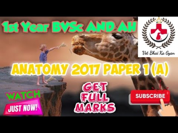 1st YEAR BVSc AND AH VETERINARY ANATOMY 2017 PART 1 (A) SOLVED