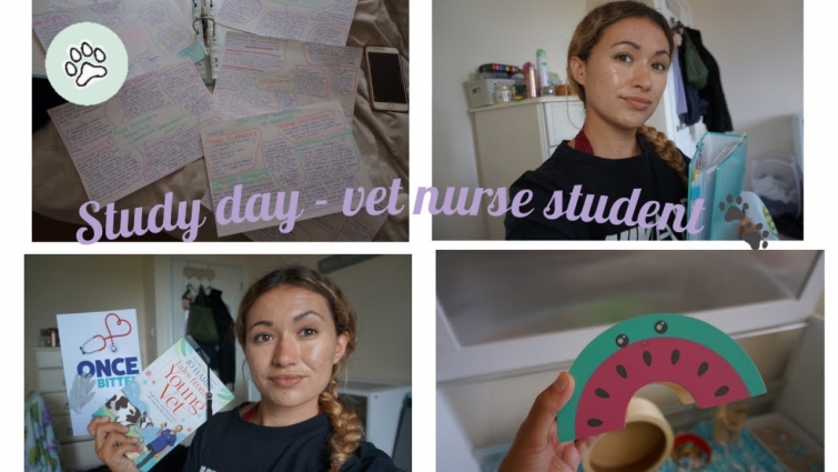 Study with me | Vet nursing & reading books I reccomend 🐾