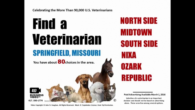 FIND A VETERINARIAN in Springfield MO  |  Pet Vets in Springfield MO REVIEW