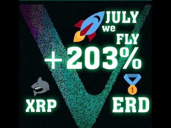 #VET +203% WE FLY IN JULY Walmart PWC DNV GL Binance US.#XRP  Ripple Pushing to Scale XRP Payment