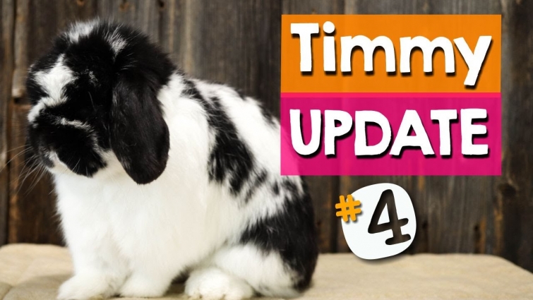 Timmy Update – 1 Week After Surgery