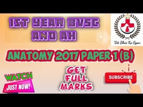 1st YEAR BVSc AND AH VETERINARY ANATOMY 2017 PART 1 (B) SOLVED