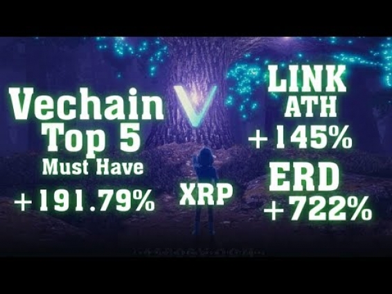 #VET We Fly In JULY .. Vechain Its a Big Deal . Epic Rally Incoming That Will Put 2017 to Shame