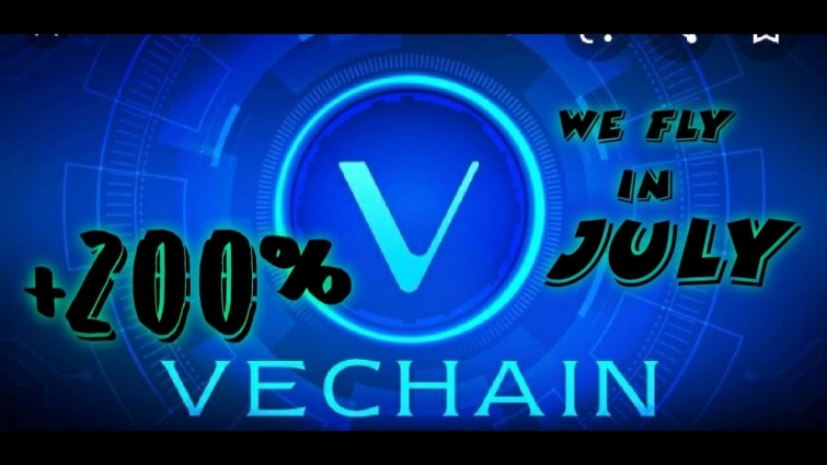 #VET VeChain Delivered More than 40% Return in June ( +80% JULY WE FLY  BUCKLE UP ALT SEASON IS HERE