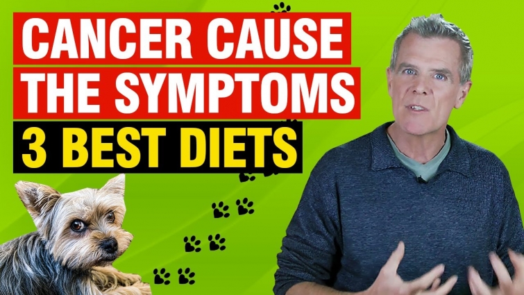 How to Check For Symptoms of Dog Cancer [Causes, Symptoms and 3 Best Diets]