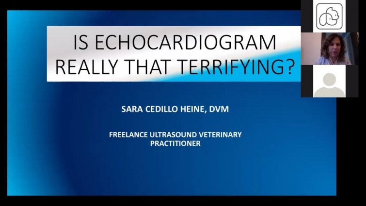 Mindray Veterinary Webinar | Echocardiogram Scanning Views