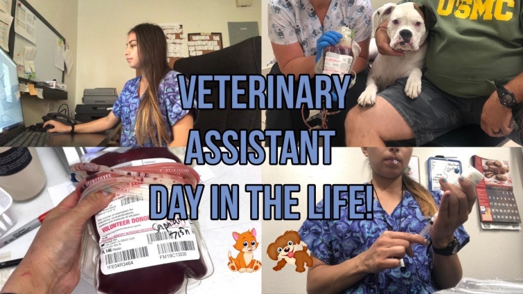 Vet Assistant Work Vlog!🐶🐱