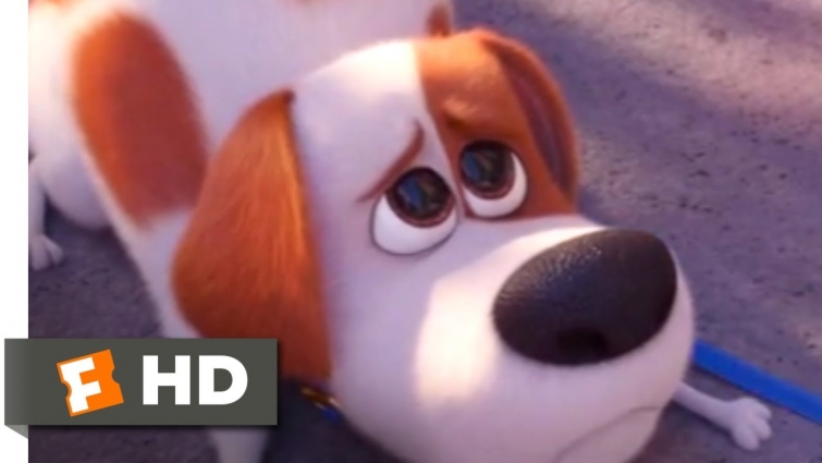 The Secret Life of Pets 2 – Max Goes to the Vet | Fandango Family