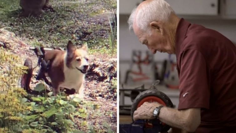 92 Year Old Retired Vet Dedicates His Life To Making Wheelchairs For Disabled Dogs