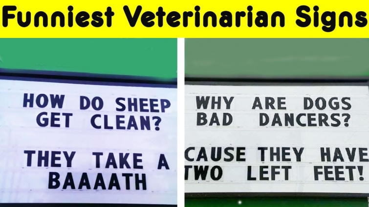 Creative Vet Signs That Will Make You Laugh (Part 2)