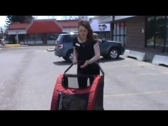 Veterinarian in Calgary demos use and benefit of pet stroller for senior pets