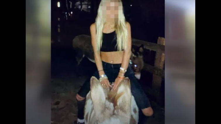 Teens Break into Petting Zoo, Put Lipstick on Pony and Terrorize Animals