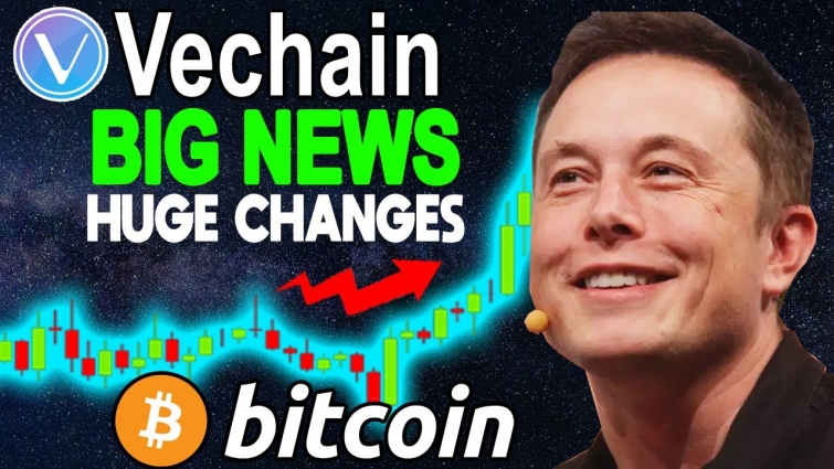 VECHAIN VET NEW BIG AUTOMOTIVE PARTNER ! MUST SEE ! | BITCOIN BTC FACES TWO SCENARIOS !
