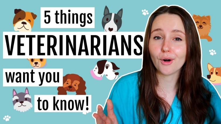 5 things your VETERINARIAN wants YOU to know! Key vet insights for pet owners/pet lovers│Dr Minnie