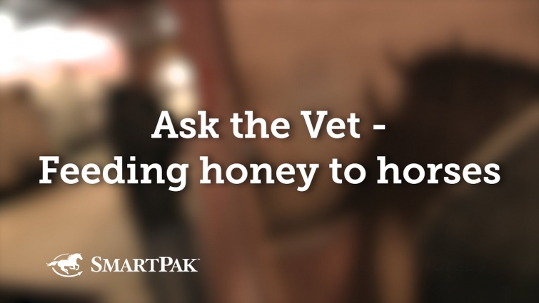 Ask the Vet – Feeding honey to horses