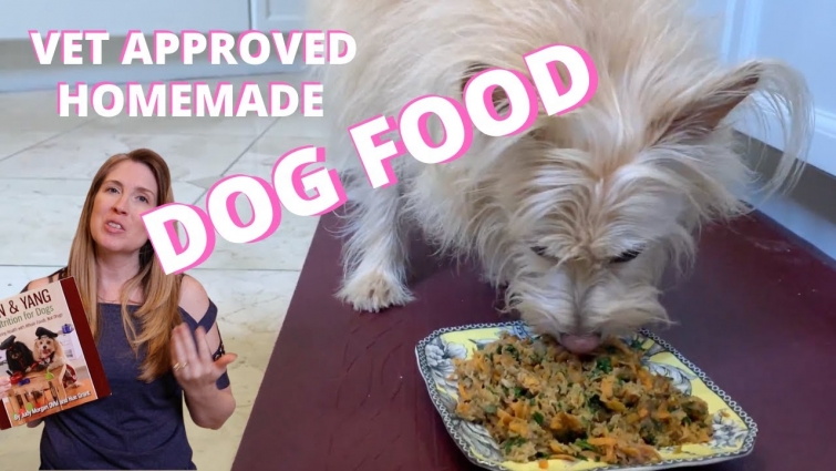 Healthy Homemade Dog Food Recipe Vet Approved