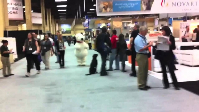 Dog Training – Sit in Motion  at the Western Veterinary Conference