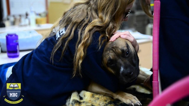 Maritime Business College – Veterinary Technology Program