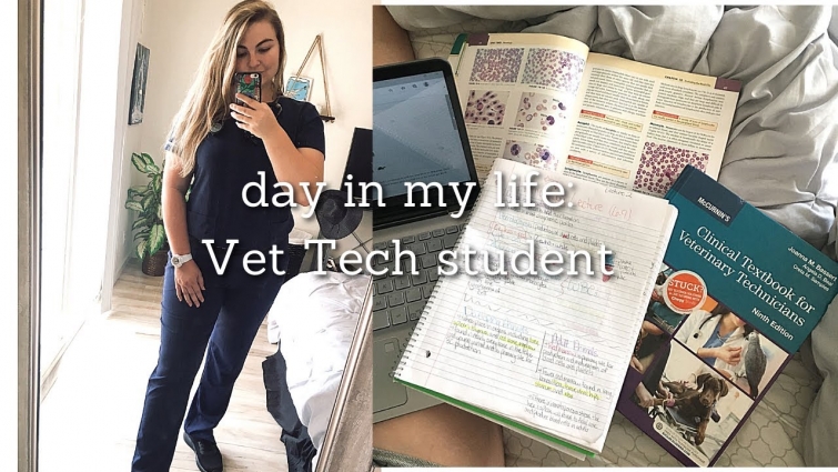 DAY IN MY LIFE AS A VET TECH STUDENT| First Year vlog
