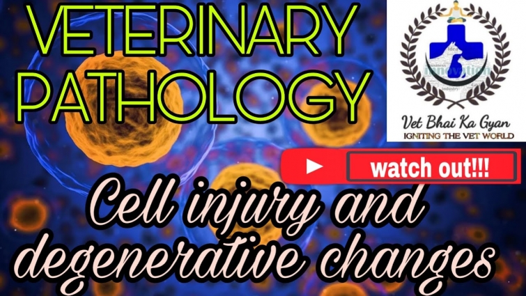 CELL INJURY AND DEGENERATIVE CHANGES (VETERINARY PATHOLOGY)