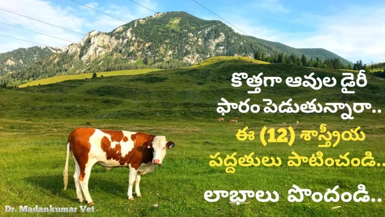 How to Start a New Successful Cow Dairy Farm | 12 Tips Telugu | Dr. Madankumar Vet