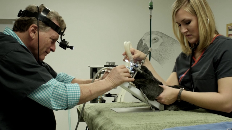 Welcome to Cedar Creek Veterinary Clinic