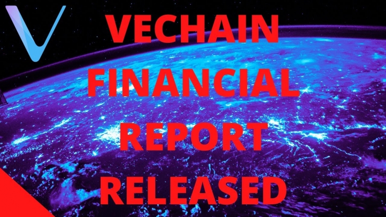 [VECHAIN NEWS] VECHAIN FINANCIAL REPORT RELEASED! VECHAIN PRAISED BY H&M! VET FUD CREEPING BACK?