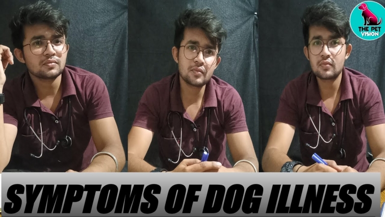 Signs of illness in dog / complete care of your dog/ by Sahil Malik (Vet.)/ THE PET VISION   #TPV#