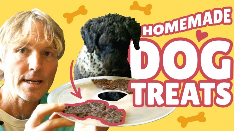Easy and Healthy Dog Beef Jerky