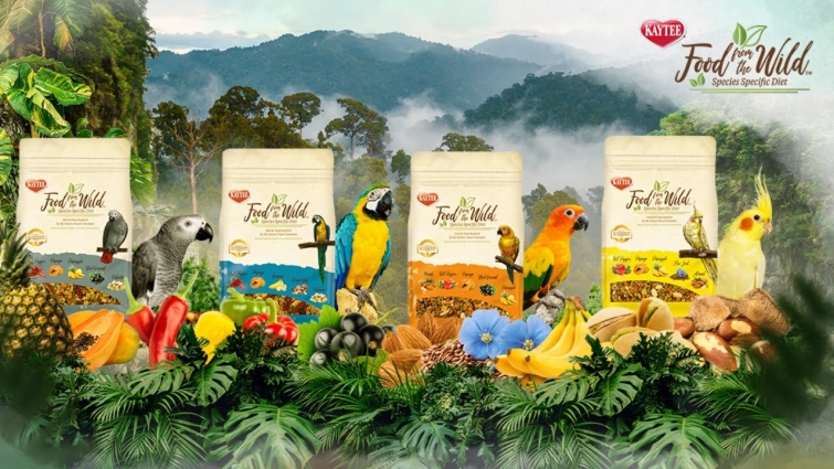 Kaytee Food from the Wild Pet Bird
