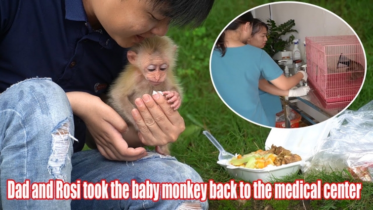Dad and princess Rosi take the injured baby monkey back to the veterinary hospital for treatment