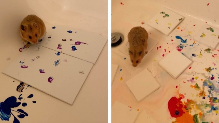 Adorable Hamster Paints Masterpieces