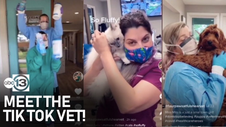 Fulshear veterinarian uses TikTok to boost morale, connect with clients