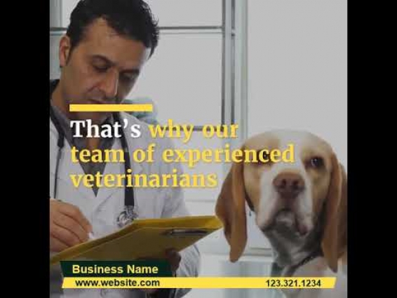Veterinarian Social Media SQUARE AD