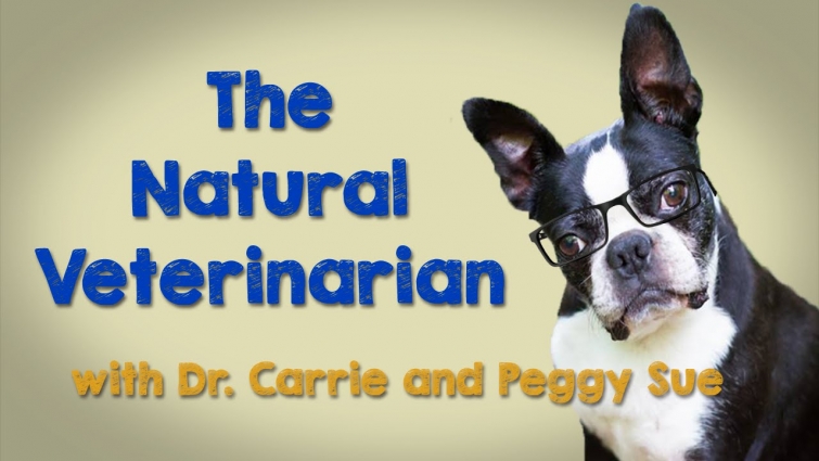 The Natural Veterinarian – Ask Dr. Carrie – Nutrition