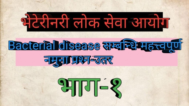Bacterial disease  Objective questions of Bacterial disease important questions for veterinary