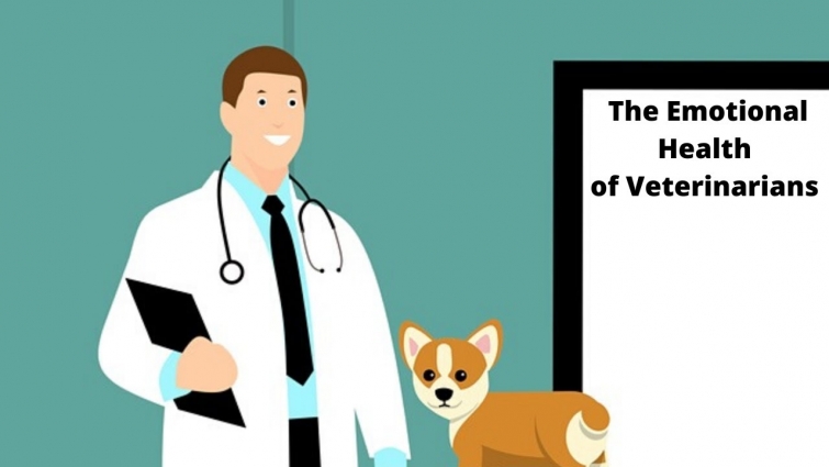 Veterinarian Dr. Eric Discusses the Emotional Health of Veterinarians