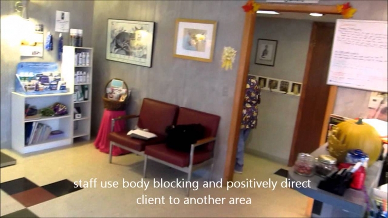 controling barking  dogs in veterinary waiting room