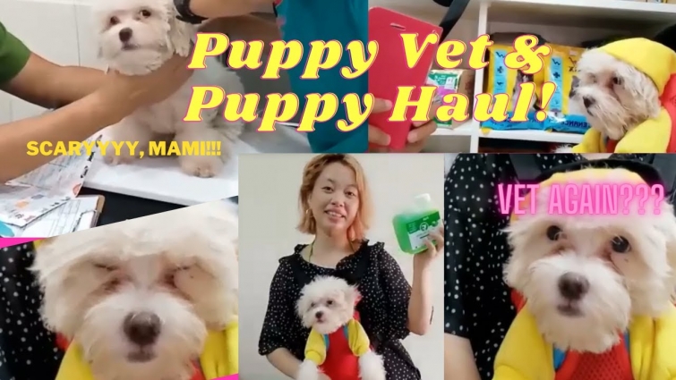 Puppy Vet Day & Puppy Haul