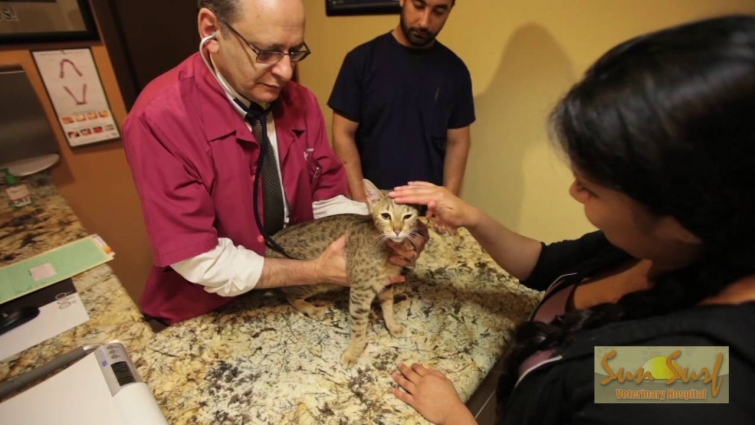 Sun Surf Veterinary Hospital – Huntington Beach, CA