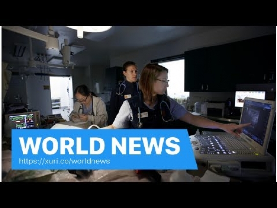 World News – UC Davis veterinarian to see some of the world's most exotic patients