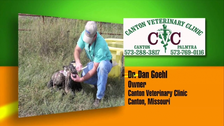 Meet the Veterinarian Dr. Goehl, Canton, MO