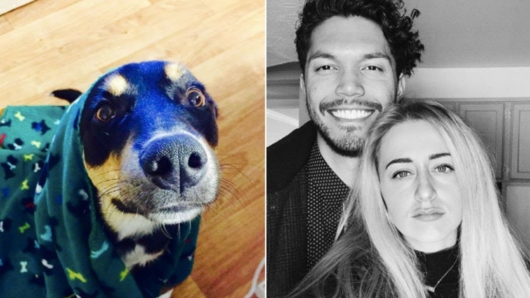 Couple Takes Their Wheezing Dog To The Vet Only To Get An Astonishing Diagnosis