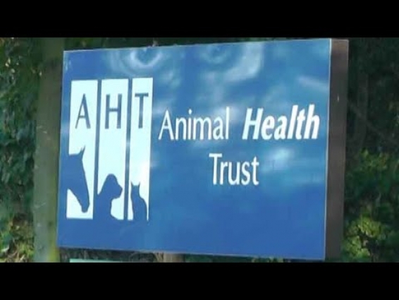 Animal Health Trust