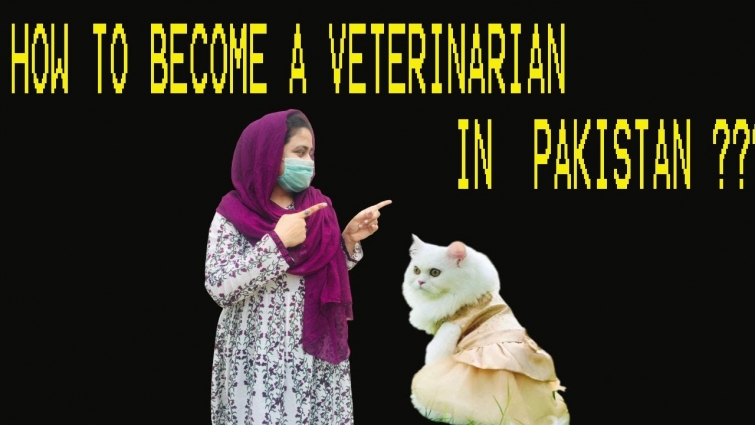 HOW TO BECOME A VETERINARIAN IN PAKISTAN || 100 SUBSCRIBERS