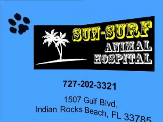 Veterinarian Dr. Al Paredes at Sun Surf Animal Hospital – Low Cost Spay and Neuter Program