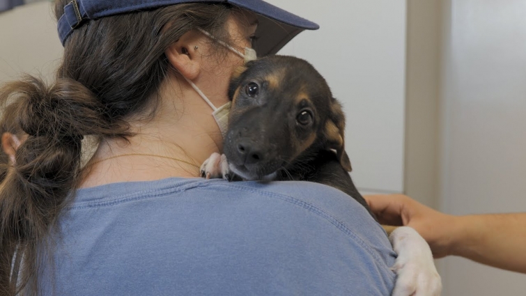 EPISODE 124 "Say Yes To The Puppy"
