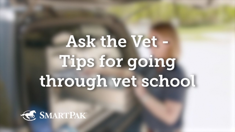 Ask the Vet – Tips for going through vet school