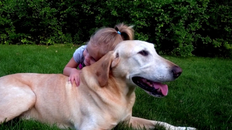Introduction To ElleVet Sciences and Their Joint/Mobility Support Products For Pets